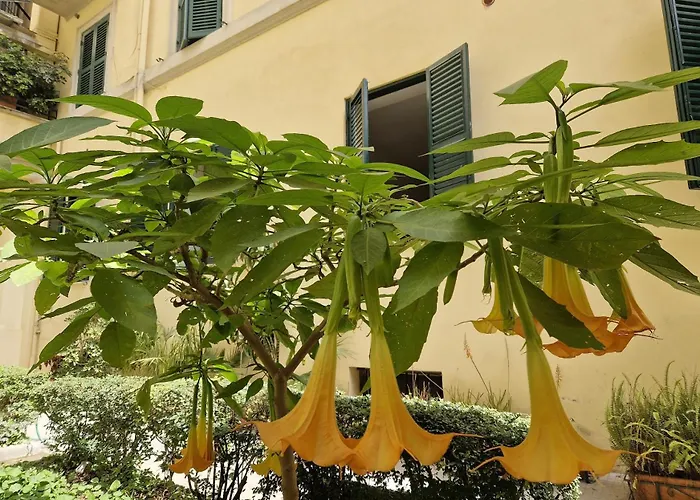 Home Borsieri